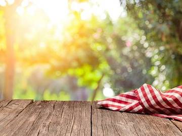 outdoor picnic scene